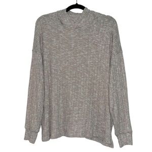 American Eagle Outfitters Hoodie Sweater